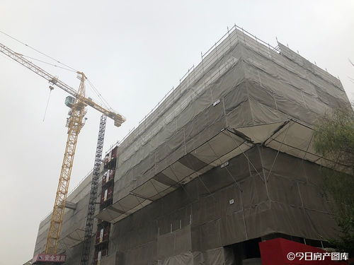 實探 徐匯600米地鐵站,出現(xiàn)個全新盤