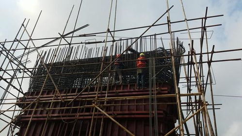 1433萬(wàn)大橋突然坍塌,無(wú)一根鋼筋 大貨車 這鍋我不背