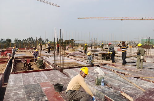 廣西建工集團二建公司 堅守崗位不打烊 重點項目施工忙