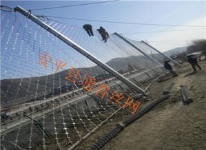 攔碎石被動防護網(wǎng) 攔碎石被動防護網(wǎng)安裝